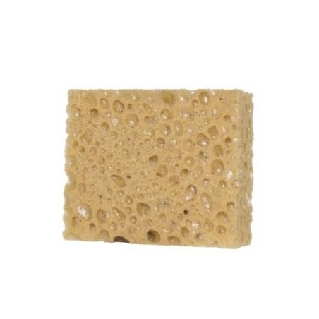 Kempinėlė
