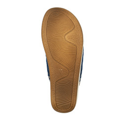 Inblu vaiste plätud