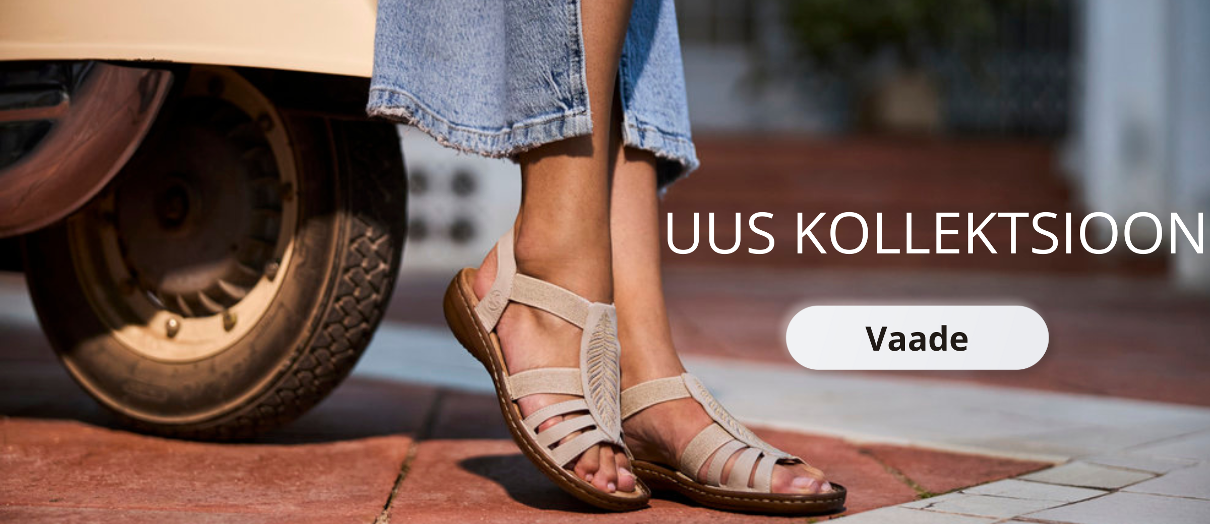 https://www.ag-rieker.ee/uus-kollektsioon-26